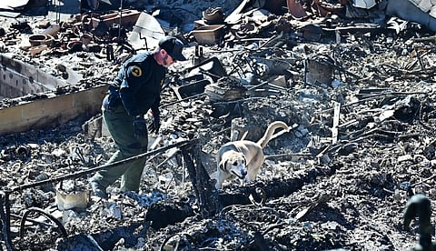 Death toll from Los Angeles fires rises to 24, with dangerous winds incoming