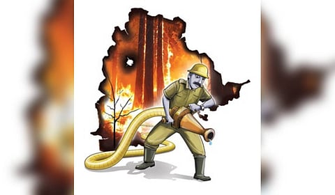 The area damaged in forest fire in the 2024 forest fire season was 4,067.05 hectare compared to 8,414.55 hectare in 2022 and 9,550.86 hectare in 2023.