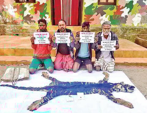 The four accused with the skin and other body parts of the melanistic tiger