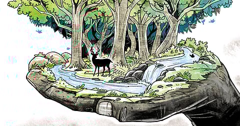 Karnataka’s forest officials face a tough dilemma over proceeding with a tribal relocation programme to preserve forests.