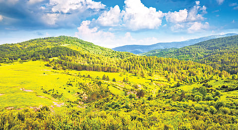 The trees and rivers that talk of writing