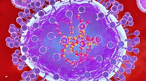 HMPV Representative Image