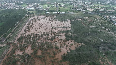 File photo of Chinnavedampatti lake in Coimbatore