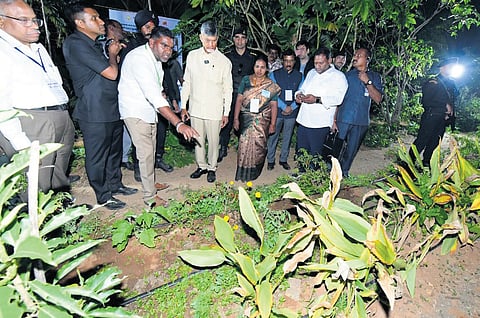 Kuppam farmer’s organic revolution for sustainable agriculture