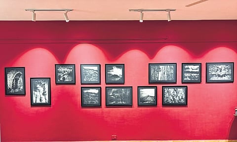 Chennai Phot Biennale. 