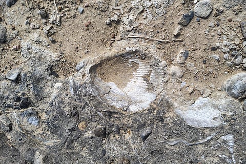 280-million-year old site to evolve as Marine Fossil Park