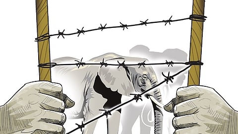 Image used for representational purposes only