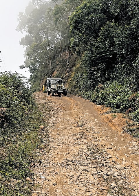 The dilapidated condition of a 230-m-long road stretch from Chilanthiyar to Muthuvan tribe settlements.