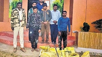 Forest officials with the accused and seized mangrove roots 