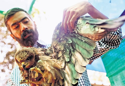 At the bird rehabilitation centre in Bomanakunta