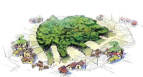 Man-animal conflict sparks heated debate in Kerala