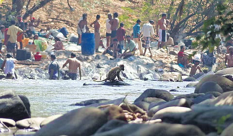Aadhi Karuvannarayar Temple is located in Sathyamangalam Tiger Reserve