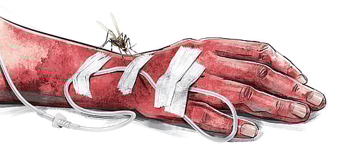 Image used for representational purposes only