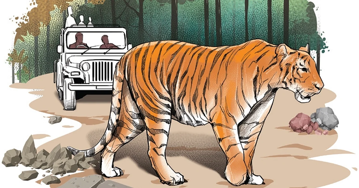 Tourists left high & dry in Ranthambore core tiger area after canter fails