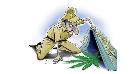Karnataka police destroy 394 kg seized ganja, intensifies anti-drug awareness in schools, colleges