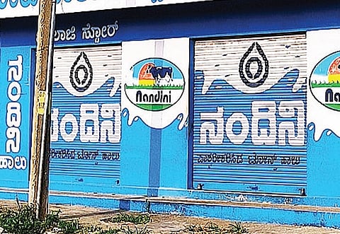 Pending dues KMF staff threaten to go on strike