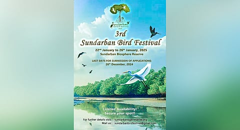 Sundarban Bird Festival