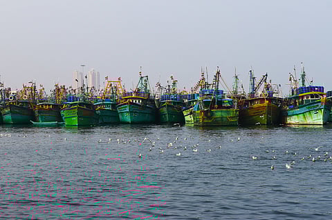 Mechanized boats from Karaikal fishing harbour 