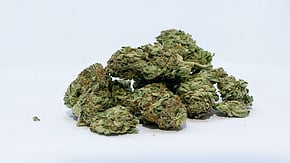 Known locally as OG, hydroponic ganja is as potent as cocaine, as the tetrahydrocannabinol (THC) content is 30%-40% compared to 3%-4% found in regular ganja. 