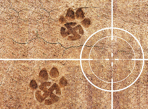 Image used for representational purposes only