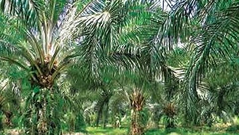 Image used for representative purpose.