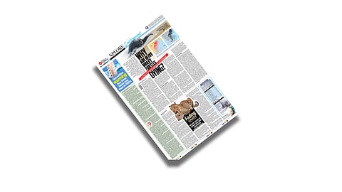 Check out this week's Xplore on Environment