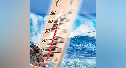 Sea surface warming four times faster now than in 1980s