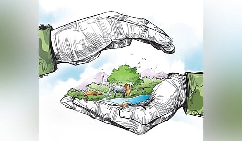 Image used for representative purpose.