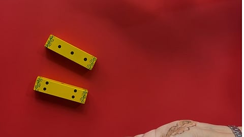 The game of Tripasa itself is believed to be a game of dice, though some believe it could be a strategy game like Bagh aur Bakri — the game of the tigers and the goats. 