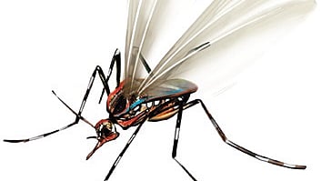 Twelve teams, each comprising an operator, a driver and an assistant have been formed to carry out the drive. 