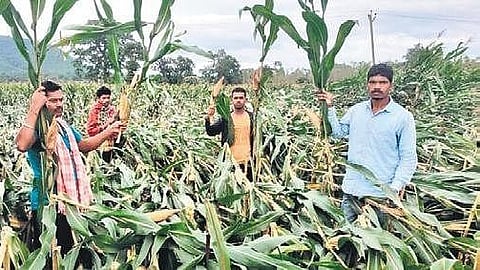 image of farmers used for representational purpose.