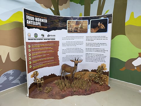 Krishnagiri: The Hosur forest department had set- up an innovation and incubation centre at Denkanikottai Government Boys Higher Second