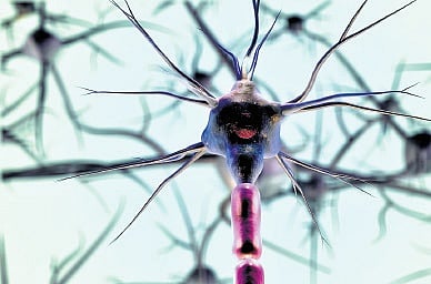 Decoding Guillain-Barré Syndrome