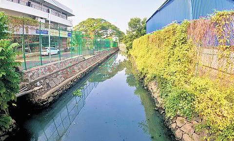 The Thevara-Perandoor Canal