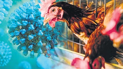 Representative image