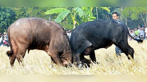 Image used for representational purpose.