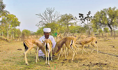 An uncertain future of a sacred world 