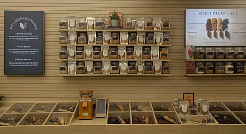 Foodstories, an enchanting ode to the realm of food