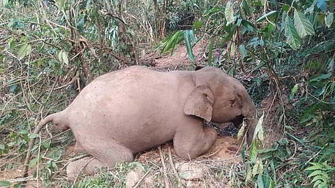 Image used for representative purpose.