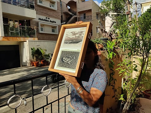 Cyanotype workshop participant exposes a cyanotype to sunlight