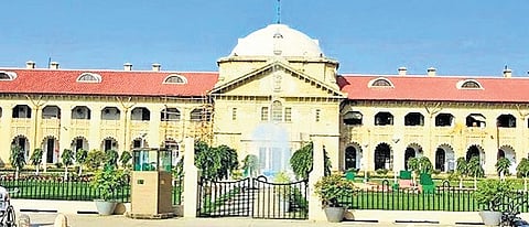 Rape survivor can terminate pregnancy, says Allahabad HC