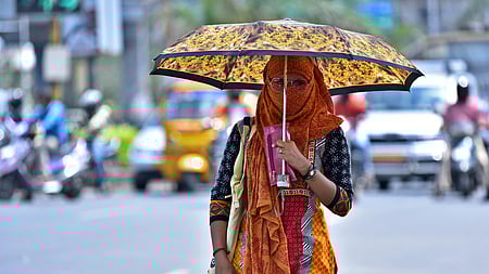 Although TN is a coastal state with naturally high humidity, recent data shows that relative humidity has increased even during peak summer months, particularly in interior districts.