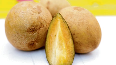 Things you didn't know about chikoo