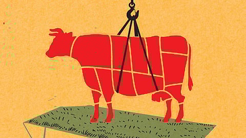 Picture for representation