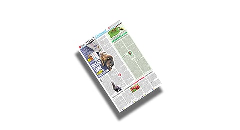 Check out this week's Xplore on Environment 