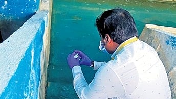 An official collects water samples from Kodandapur water treatment plant