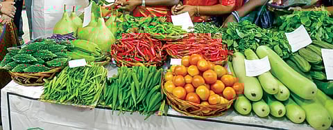 Government initiates steps to stabilise vegetable prices in Andhra