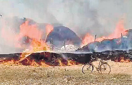 Harvested paddy reduced to ashes in fire mishap in Odisha