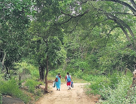 Annalakshmi and her helper Alphonsa returning home through the forest
route in Chinnar Wildlife Sanctuary in the evening 
