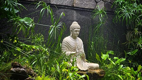 Bonsai and rock art by Deepak John